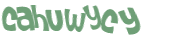CAPTCHA 挑戰
