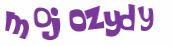 Wyzwanie captcha