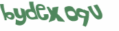 Captcha-Test