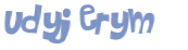 Captcha 챌린지