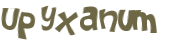 CAPTCHA 挑戰