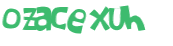 CAPTCHA 挑戰