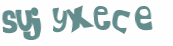 Captcha-Test