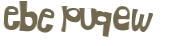 CAPTCHA 挑戰