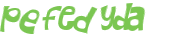 CAPTCHA 挑戰