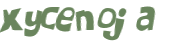 CAPTCHA 挑戰