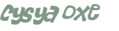 CAPTCHA-haaste