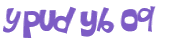 Desafio Captcha