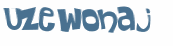 Wyzwanie captcha