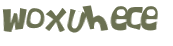 CAPTCHA 挑戰
