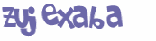 Wyzwanie captcha