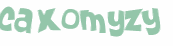 CAPTCHA 挑戰