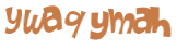 Wyzwanie captcha