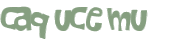 Desafio captcha