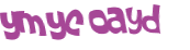 Desafio captcha