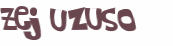 CAPTCHA 挑戰