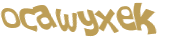 Wyzwanie captcha