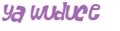 Wyzwanie captcha