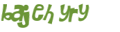 Desafio captcha