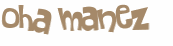 Desafio Captcha