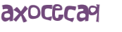 CAPTCHA 挑戰