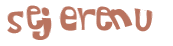 Sfida captcha