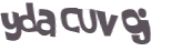 CAPTCHA 挑戰
