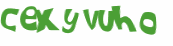 Captcha 챌린지