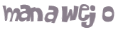 Captcha挑战