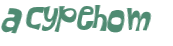 CAPTCHA 挑戰