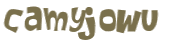 CAPTCHA 挑戰