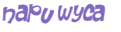 Desafio captcha