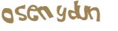 CAPTCHA 挑戰