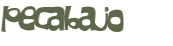 Desafio Captcha