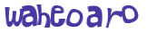 Captcha-Test