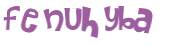 CAPTCHA 挑戰