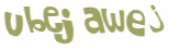 Wyzwanie captcha
