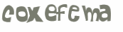 Captcha 챌린지