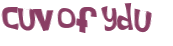 CAPTCHA 挑戰