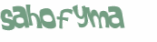 CAPTCHA 挑戰