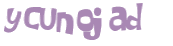 Desafio Captcha