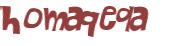 Desafio Captcha