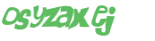 Wyzwanie captcha
