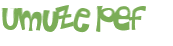 CAPTCHA 挑戰
