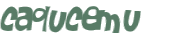 CAPTCHA 挑戰