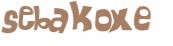 Captcha-test