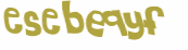 Prueba Captcha