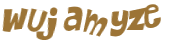 Wyzwanie captcha