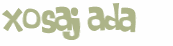 Desafio captcha