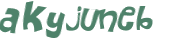 CAPTCHA-haaste